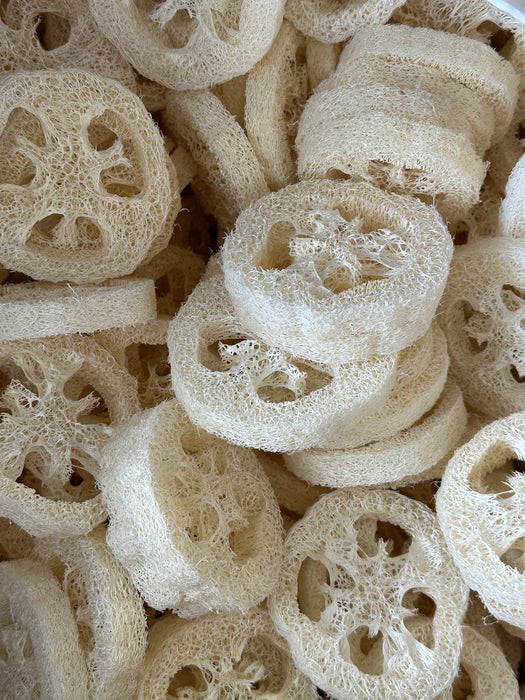 Loofah Slices