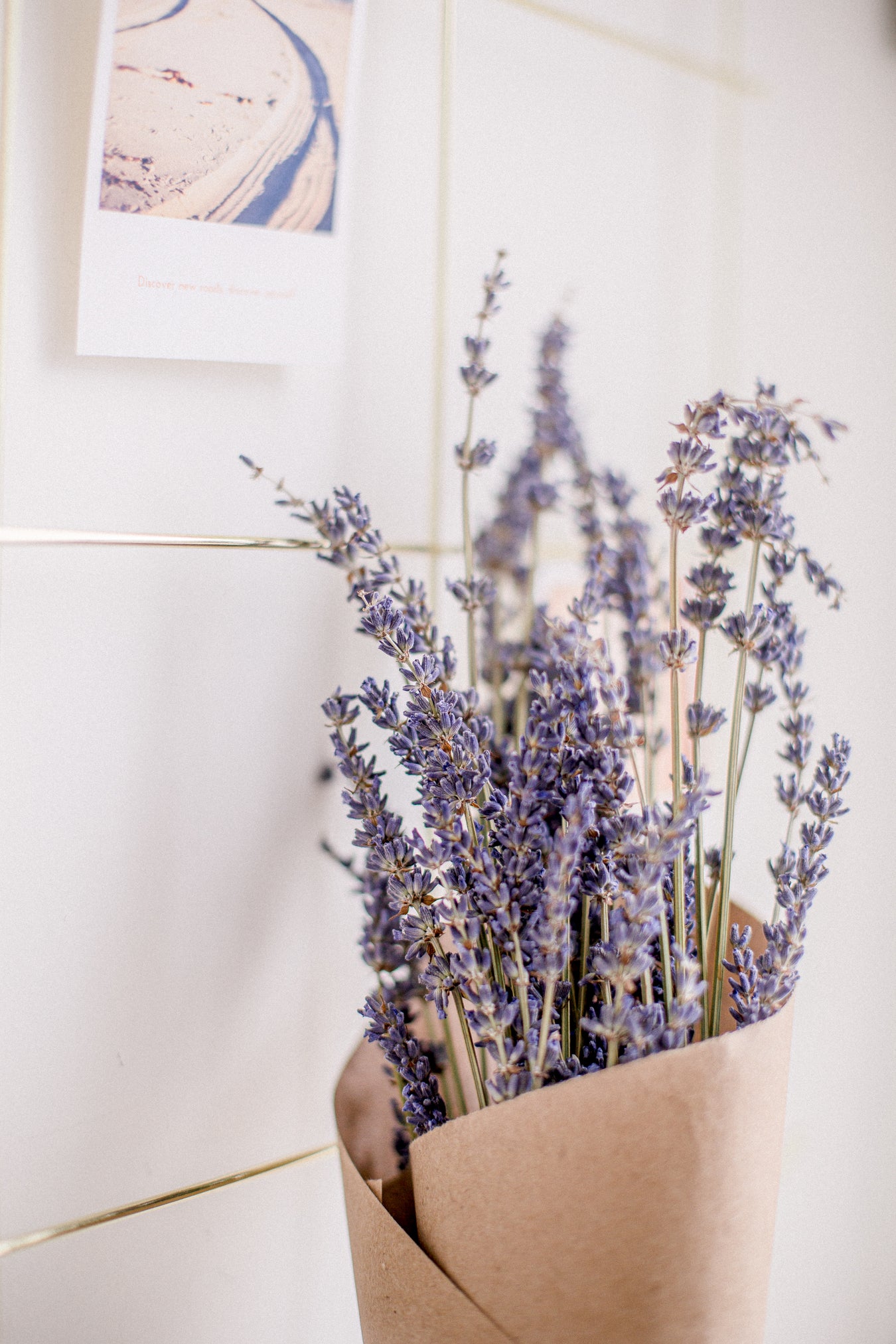 Botanicals & Exfoliants
