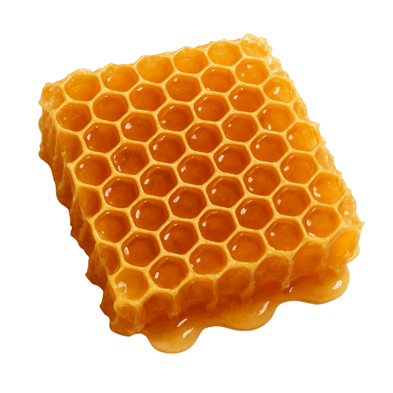 Honeycomb Fragrance Oil