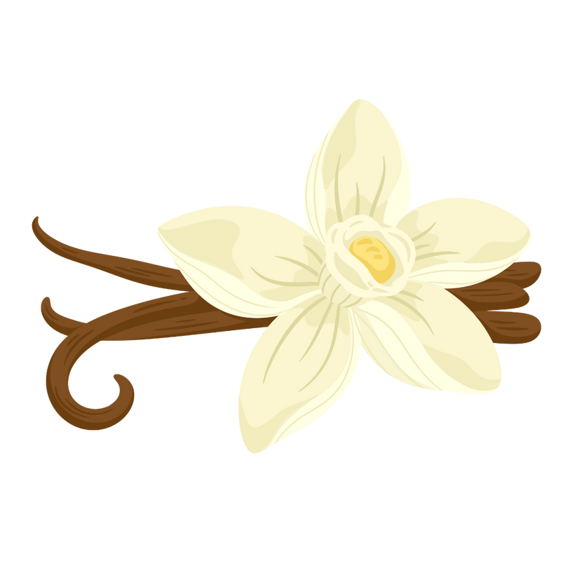 Very Vanilla Fragrance Oil