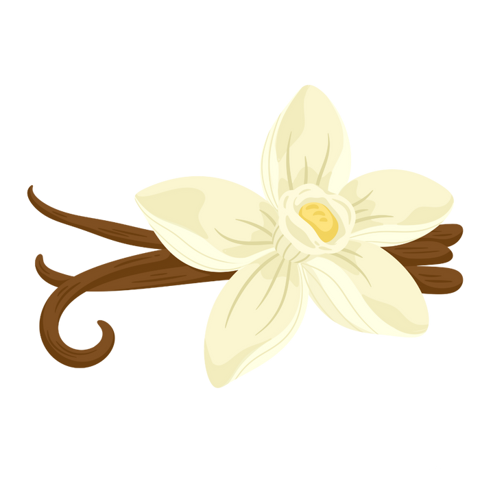 Very Vanilla Fragrance Oil