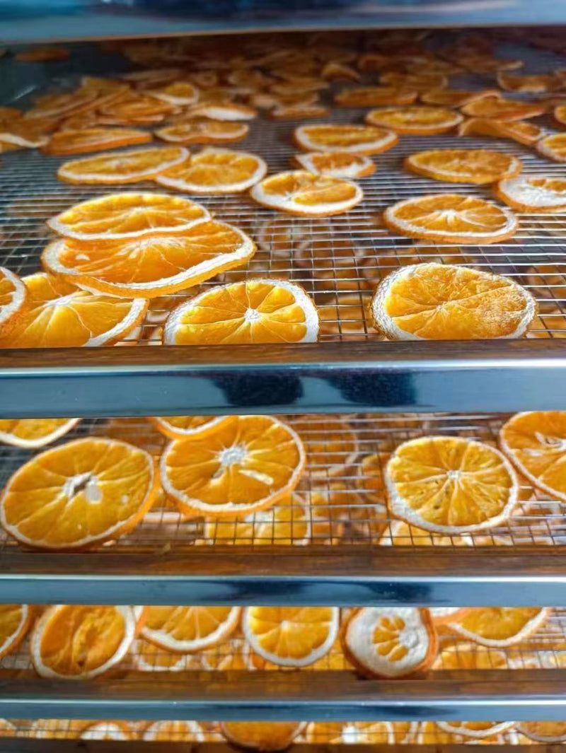Natural Orange Slices (Dried)