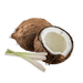 Coconut Lemongrass Fragrance Oil - Body Candle Diffuser - Soapmaid