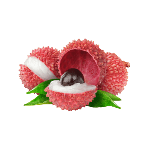 Lychee Guava Fragrance Oil for Body Soap Candles - Soapmaid