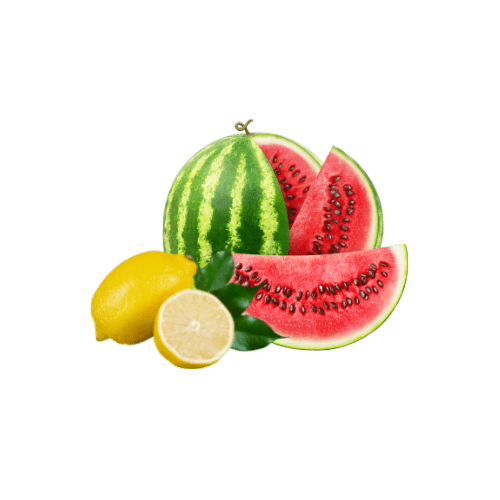 Watermelon Lemonade Fragrance - Soapmaid